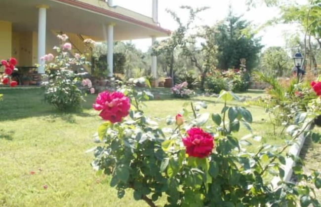 Agriturismo Le Quattro Stagioni - Foto 27