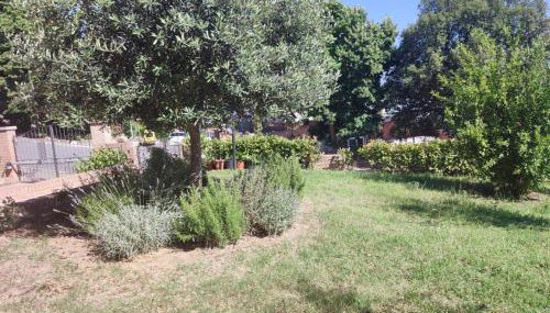 Un passo alla volta - Foto 5