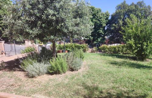 Un passo alla volta - Foto 5