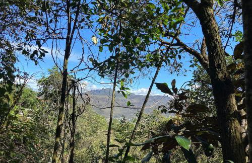 Casa Bambu Floresta Amada - Photo 28