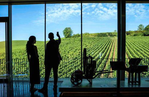 Secret Garden - Foto 33