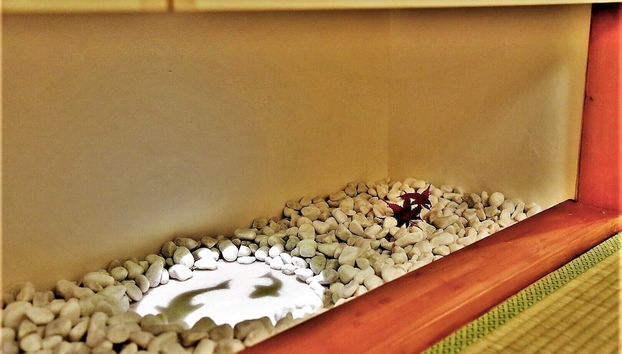 Chika Miyabi - Foto 3, Habitación