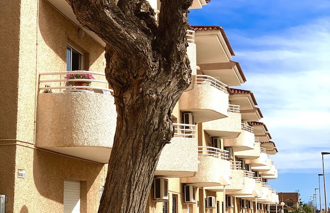 Destinos de Sol Los Alcázares - Photo 6