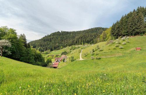 Holderstanzenhof - Foto 21