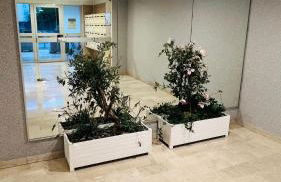 Super logement - Mer à 5 min à pieds ! - Foto 39