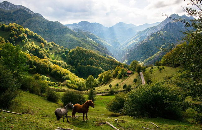 LA Nana DEL MAR Flat on the old Port of Cudillero - Photo 72