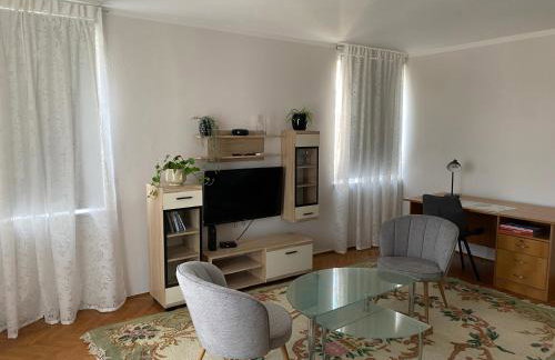 Apartman Colapis- Netflix, self check in, free parking, premium location! - Foto 20