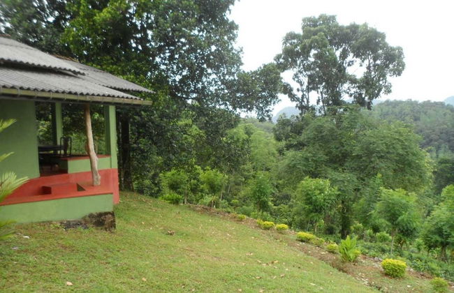 Yoho Rain Forest Eco Lodge - Foto 5