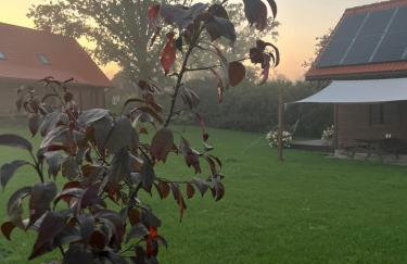 Przystanek Gałkowo - Foto 70