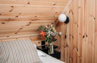 Zen Sasino - Foto 74