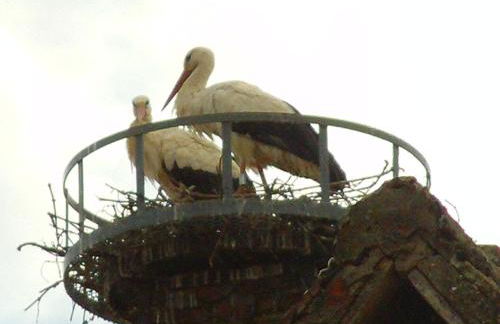 Gîte du Vignoble - Foto 13