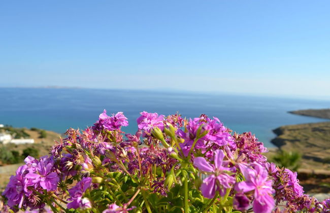 Villa Ioanna Greengrey- Vacation Houses for Rent Close to the Beach - Foto 27