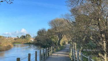 Sete Azenhas - Foto 2