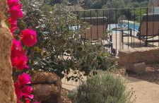 Gianni Location Palombaggia - Foto 8