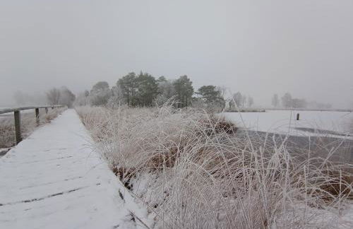 Ferienwohnung am Pietzmoor - Photo 22