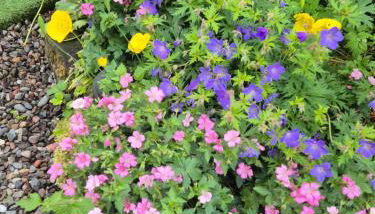 The old post office Callander holiday let - Foto 5