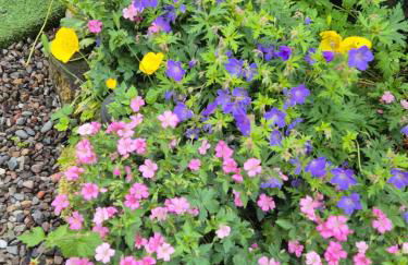 The old post office Callander holiday let - Foto 5