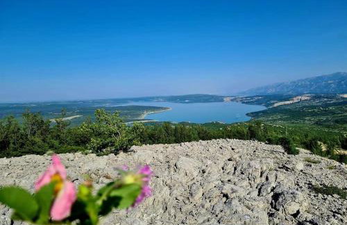 Apartman Ivan - Foto 56