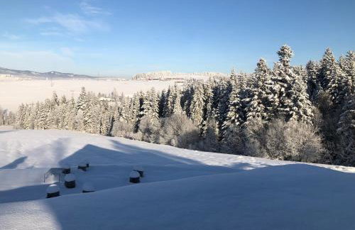 Czarne Jodły - Foto 47