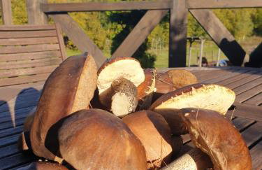 Siedlisko pod Aniołem - Foto 53