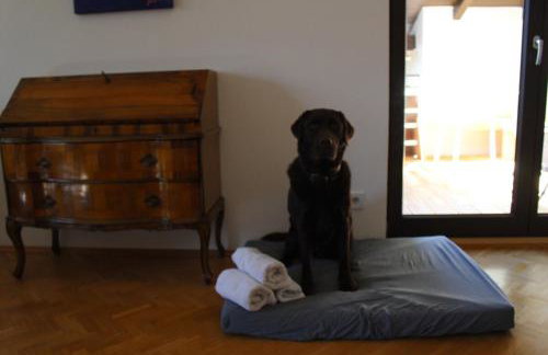 Großzügige individuelle Wohnung am Starnberger See - Foto 11