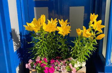 Cadwgan House - Foto 23