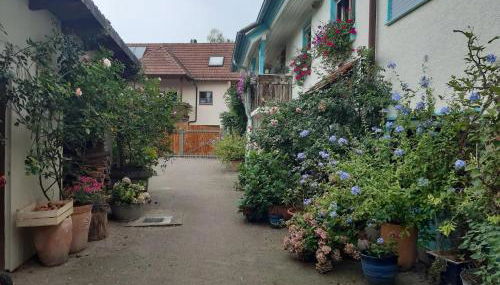 Rosenhof Broggingen - Foto 2