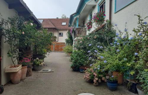 Rosenhof Broggingen - Foto 2