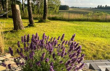 Gdzieś Na Kaszubach - Domek z balią otoczony piękną naturą - Foto 30