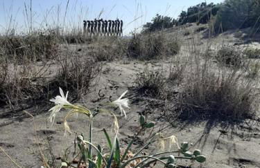 Casa Vacanze Capalbio - Foto 22