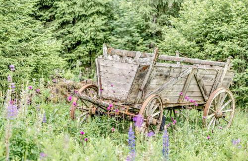 Retreat with Sauna, Hot Tub - Foto 39