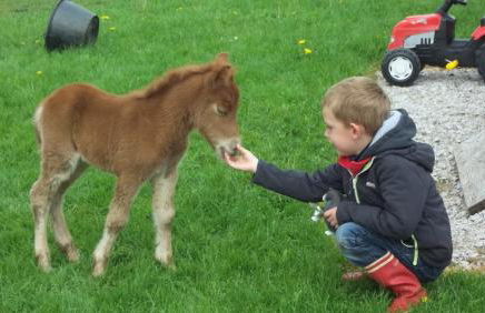 Gite Du Colombier - Foto 29