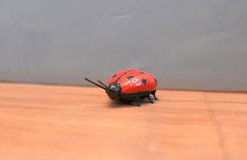 Tríplex Grande Rústico-Moderno - Pobla de Lillet - Foto 41