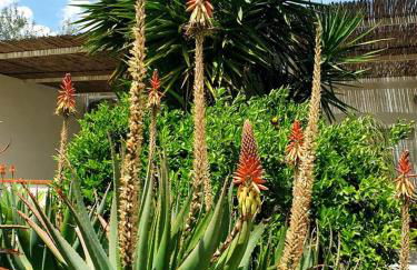 Il Canneto di Selinunte - Foto 63