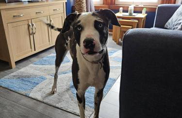 Room with a view - Foto 41