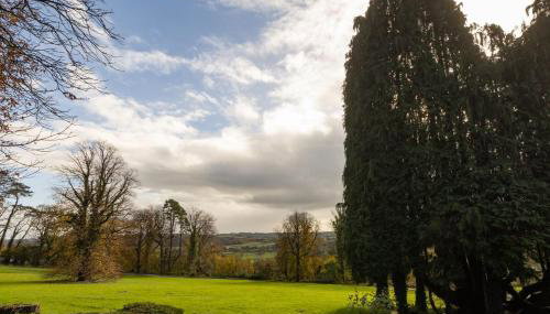 The Coed-Y-Mwstwr Hotel - Foto 3