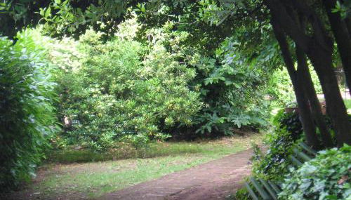 Casa vacanze Il Parco - Foto 3, Garden, Garden view