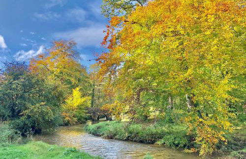 The Architect's Mews - Foto 19