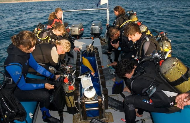 Coral Divers - Foto 18