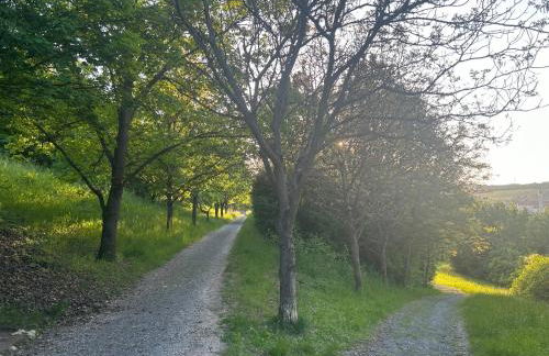 DND Stadtoase I Park I Workstation I Netflix I Parken I Kaffee I Waschmaschine I Trockner I Xbox - Foto 10