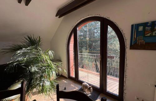 Agroturystyka Traperska Osada - Foto 76