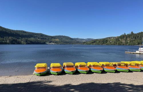 Ferienwohnung Penthouse Feldberg - Photo 38