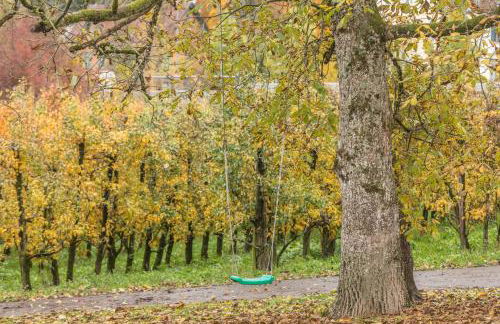 Obstgarten - Foto 21