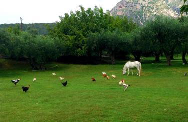 Dimitriou Rooms - Foto 60