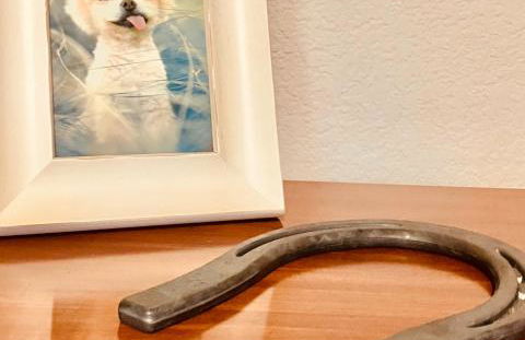 The Texas Bluebonnet Home in Historic McKinney - Foto 45