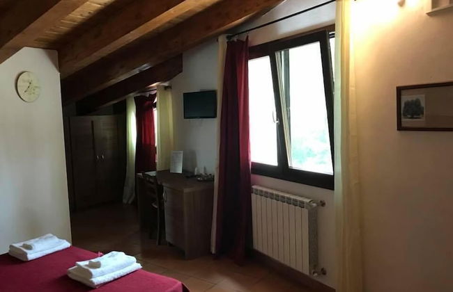 Agriturismo L'Ulivo - Foto 11