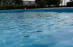 Sítio Bela Vista - Foto 8