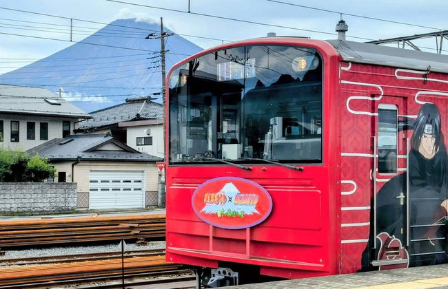 Mount Fuji, Lake Kawaguchi + Chureito Pagoda Day Trip - Foto 6