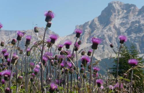 Garni Bonaria - Foto 52