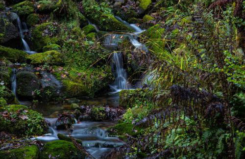 Robin Hood Tower - Foto 22